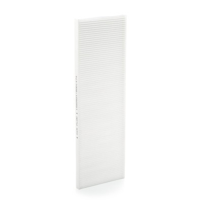 Ridex Pollen Filters - 424I0104