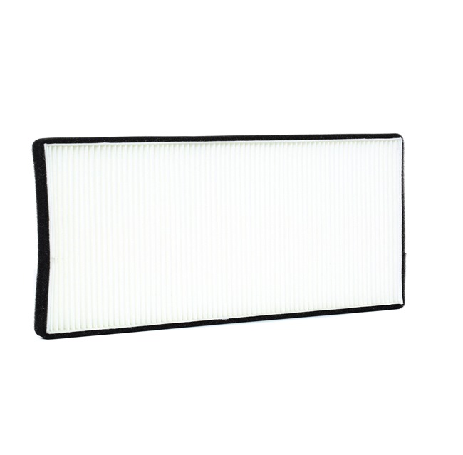 Ridex Pollen Filters - 424I0129