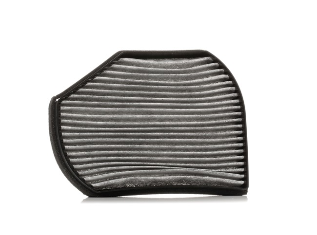 Ridex Pollen Filters - 424I0247