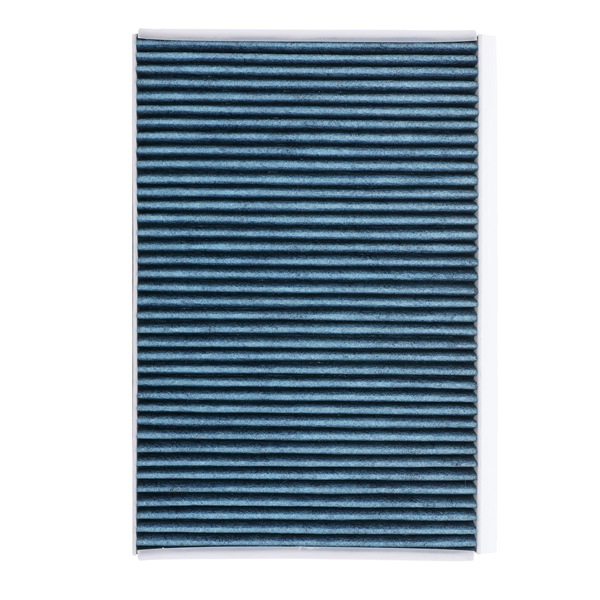 Ridex Pollen Filters - 424I0523P