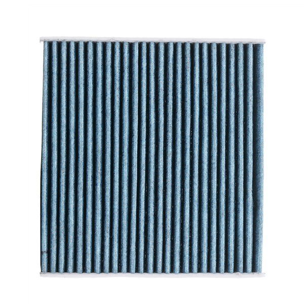 Ridex Pollen Filters - 424I0573P