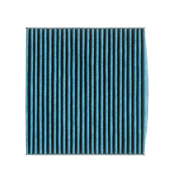 Ridex Pollen Filter - 424I0605P