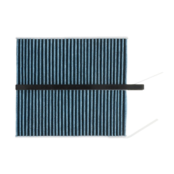 Ridex Pollen Filters - 424I0629P