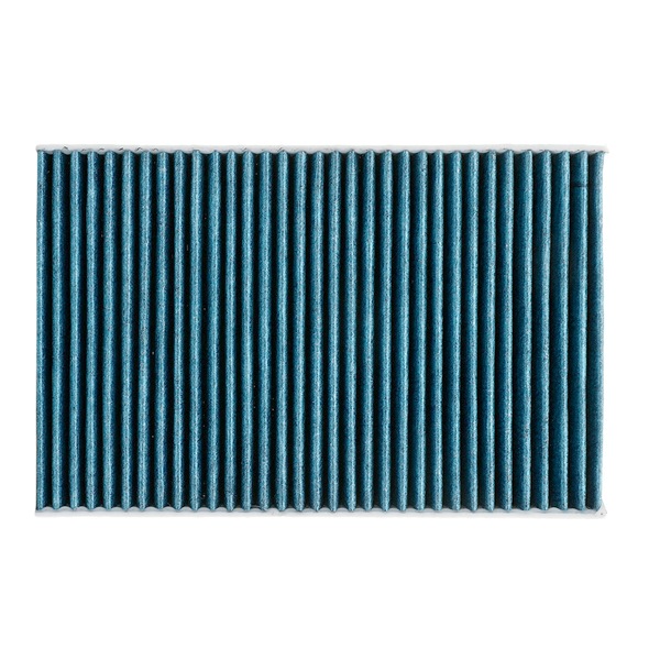 Ridex Pollen Filters - 424I0647P
