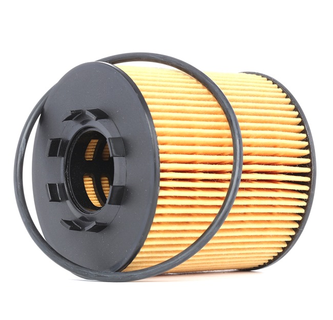 Ridex Oil Filters - 7O0101
