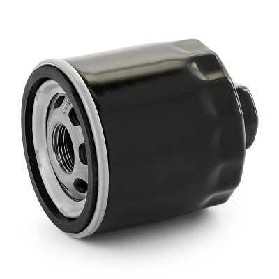 Ridex Oil Filters - 7O0265