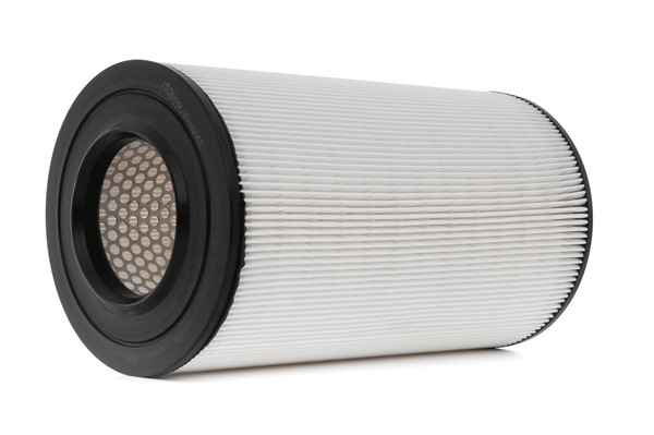 Ridex Air Filters - 8A0030