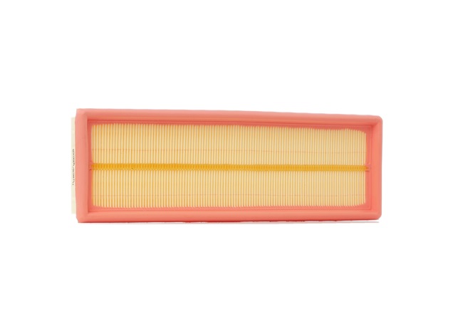 Ridex Air Filters - 8A0054