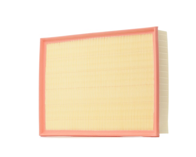 Ridex Air Filters - 8A0067