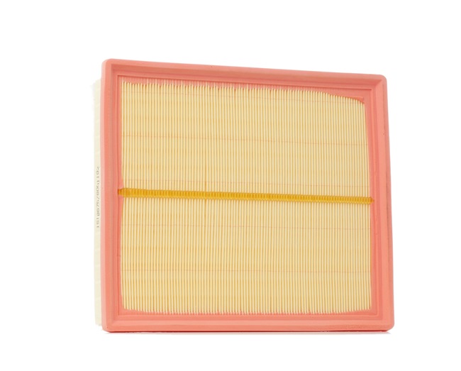 Ridex Air Filters - 8A0192
