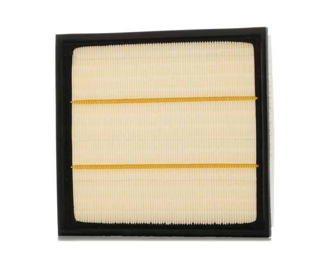Ridex Air Filters - 8A0220