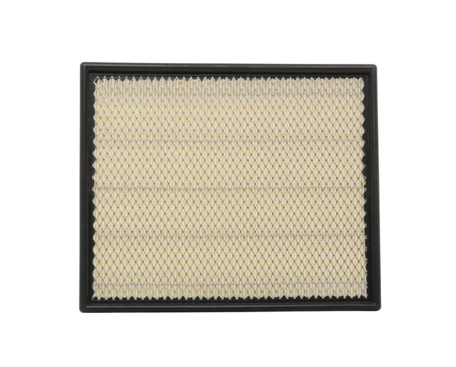 Ridex Pollen Filters - 8A0266