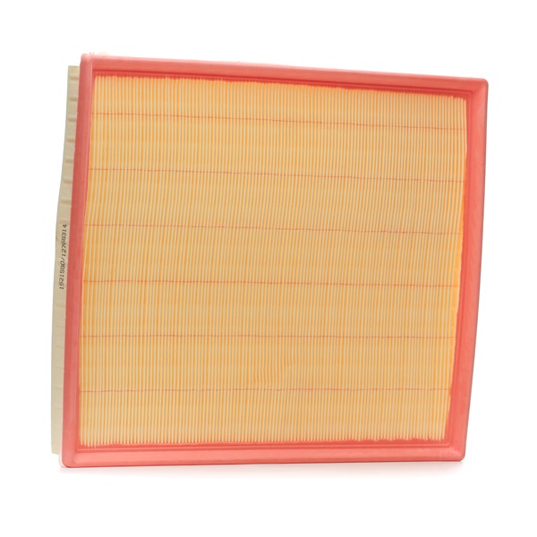 Ridex Air Filters - 8A0704