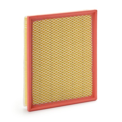 Ridex Air Filters - 8A0982