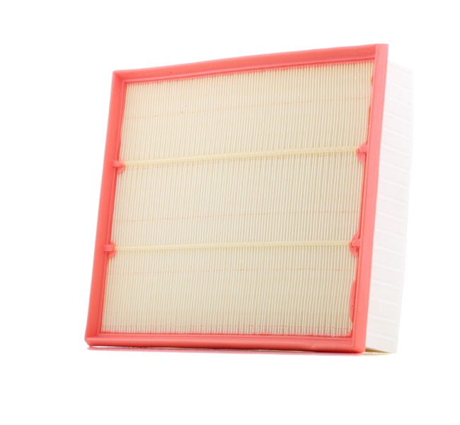 Ridex Air Filters - 8A1610