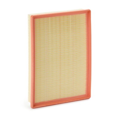 Ridex Air Filters - 8A1761
